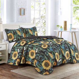 Sunny 3 Piece Bedspread Set (size: QUEEN)